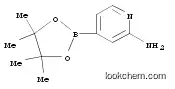 Molecular Structure of 1195995-72-2 (2-AMINOPYRIDINE-4-BORONIC ACID PINACOL ESTER)